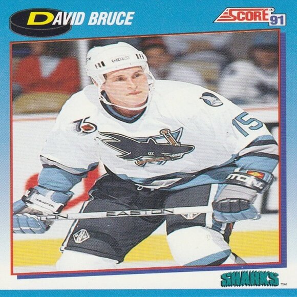 David Bruce Hockey Card Collection - Picture 3 of 3